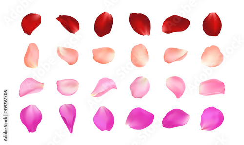 Set of vector realistic rose petals in different colors. Isolated red, pink, peach, burgundy volumetric petal on white background. Template for greeting romantic cards. Close-up.