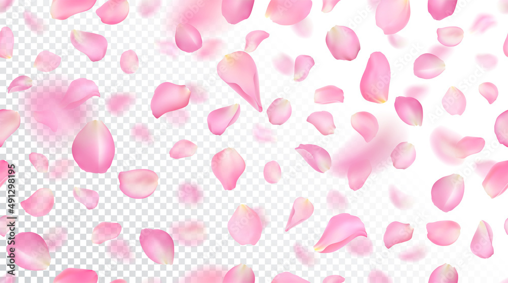 Seamless pattern with realistic flying pink rose petals on white  transparent background. Repeating texture with voluminous blurred falling  sakura petal. Vector illustration with blur effect. Stock Vector