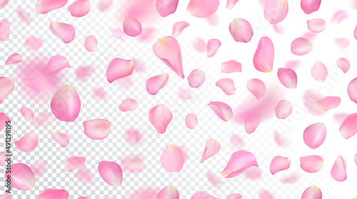 Seamless pattern with realistic flying pink rose petals on white transparent background. Repeating texture with voluminous blurred falling sakura petal. Vector illustration with blur effect.