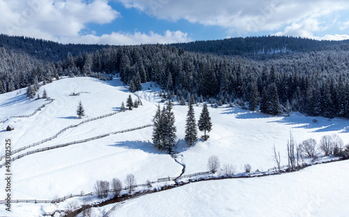 a mountain pasture and a pine forest covered with snow