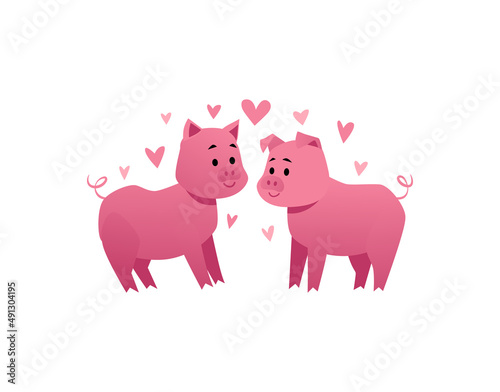 Cute romantic couple of pigs looking at each other, cartoon flat vector illustration isolated on white background.