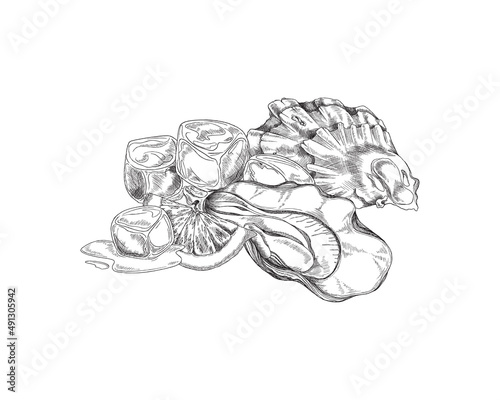 Seashell with oyster, lemon slice and melting ice cubes - sketch vector illustration isolated on white background.
