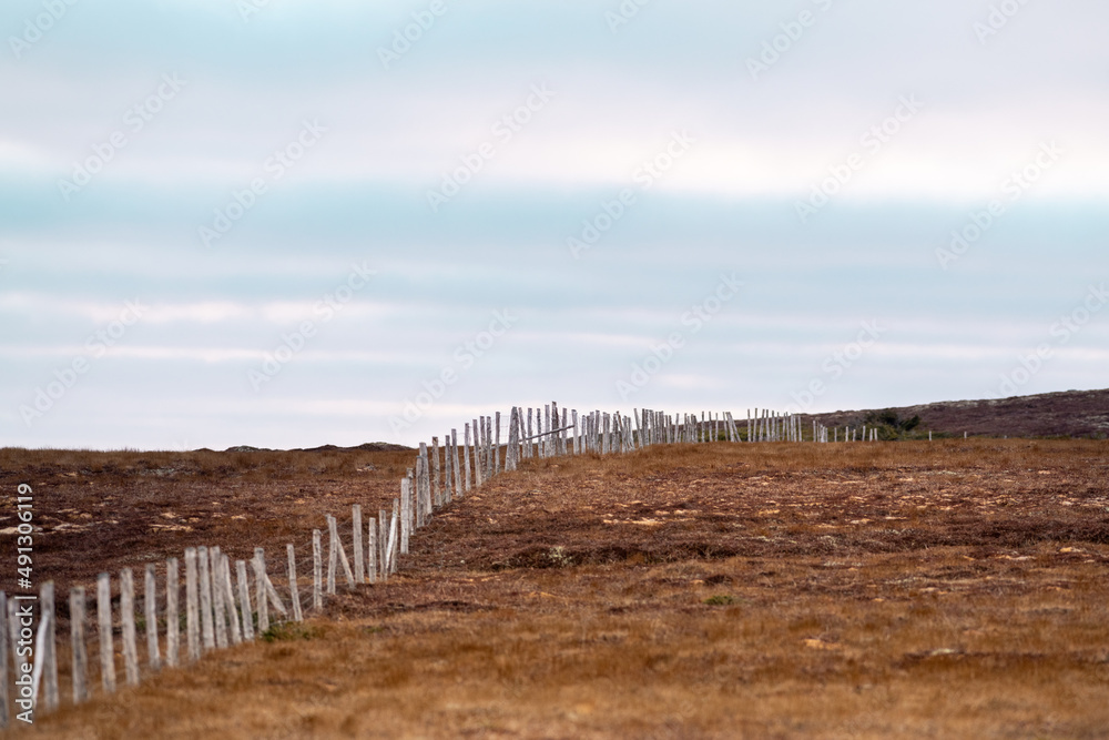 An old wooden farm post fence leading upwards over a small hill dividing a farmer's field. The grass is yellow, sky is blue and cloudy and the fence is a barb wire fence connected by log posts.  