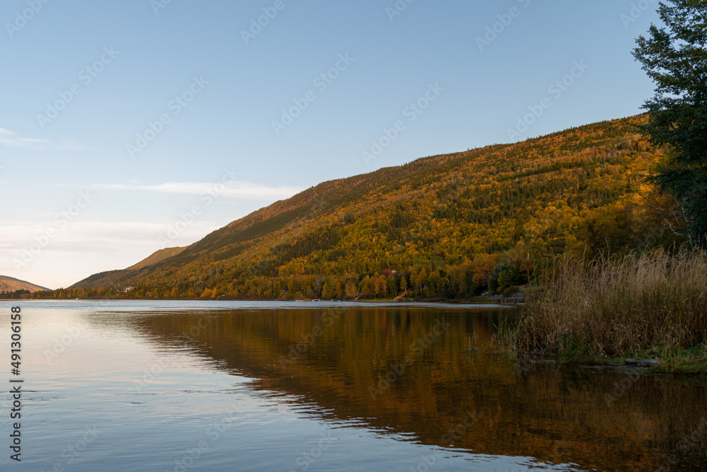 The edge of a pond with tall green and orange colored trees. The autumn forest and deep blue sky are reflected in the calm blue pond water. There's a light mist on the water along the riverbank.