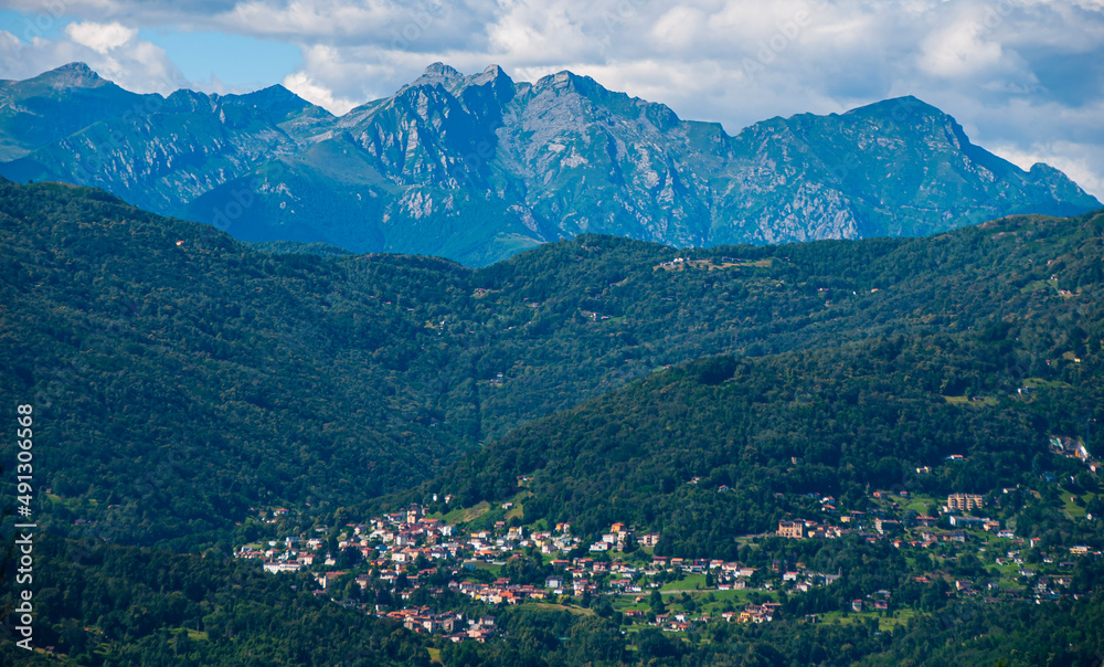 landscape in summer