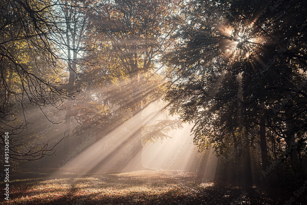 Obraz premium Strahlenmeer