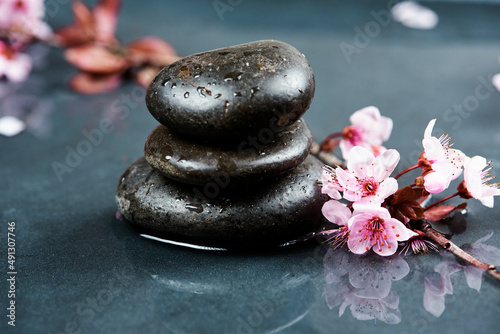 cherry blossoms and black hot stone on wet background. Hot stone massage setting . Beauty spa treatment and relax concept.