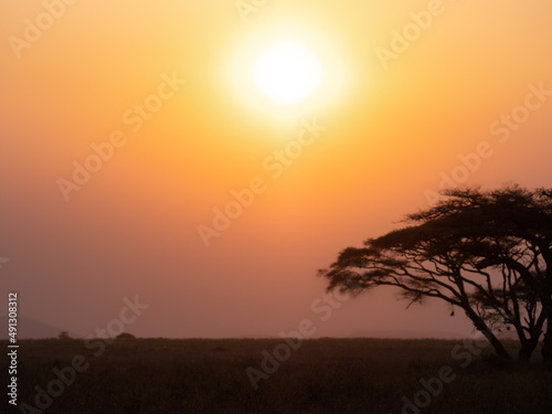 sunset in Africa © Pelayo