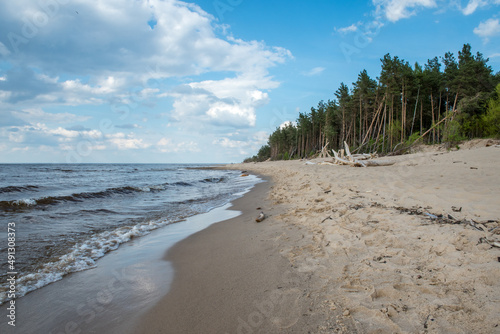 Carnikava  Latvia  Coastal scene at the Baltic sea with fallen trees in a sunny day