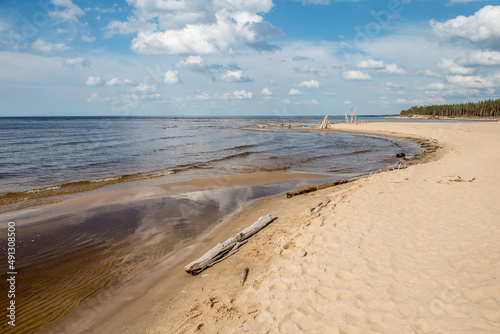 Fototapeta Naklejka Na Ścianę i Meble -  Carnikava, Latvia, Coastal scene at the Baltic sea with fallen trees in a sunny day