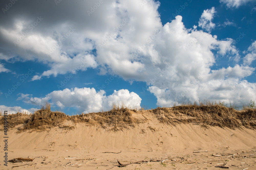 Dunes by the Baltic Sea with sand and grass. Carnikava, Latvia.
