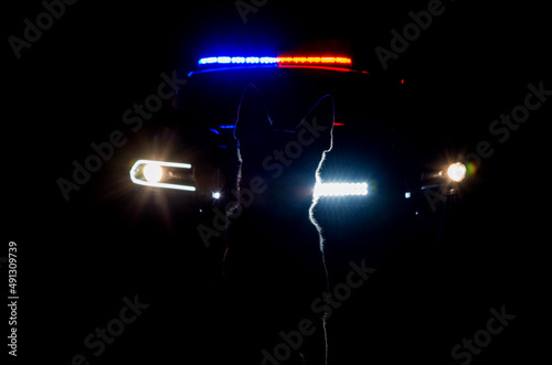 Fotografía A police car with a K9 sitting in front of it.