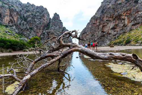 landscape in the Mountains near the sea, mallorca , Spain