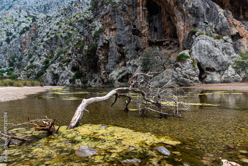 landscape in the Mountains near the sea, mallorca , Spain