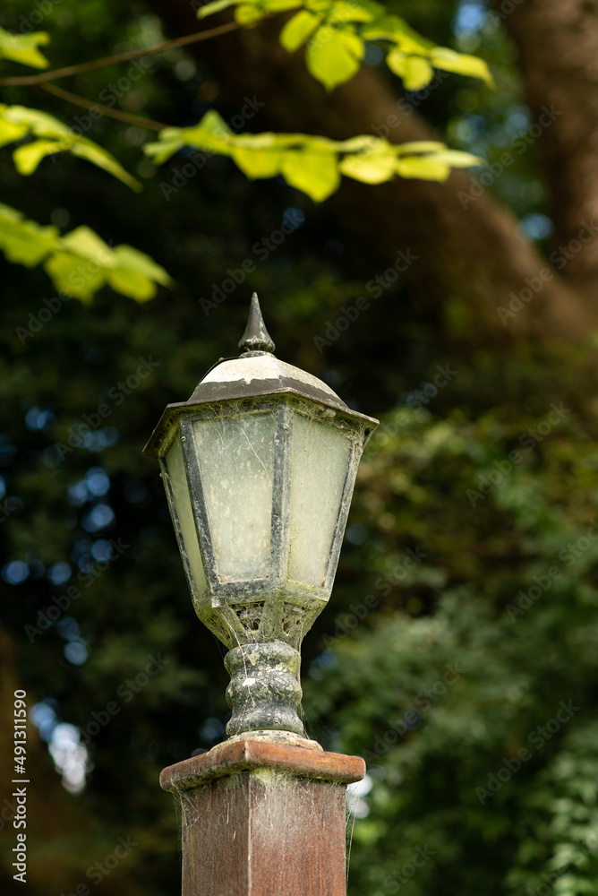 An old lamppost in a garden surrounded by plants and trees