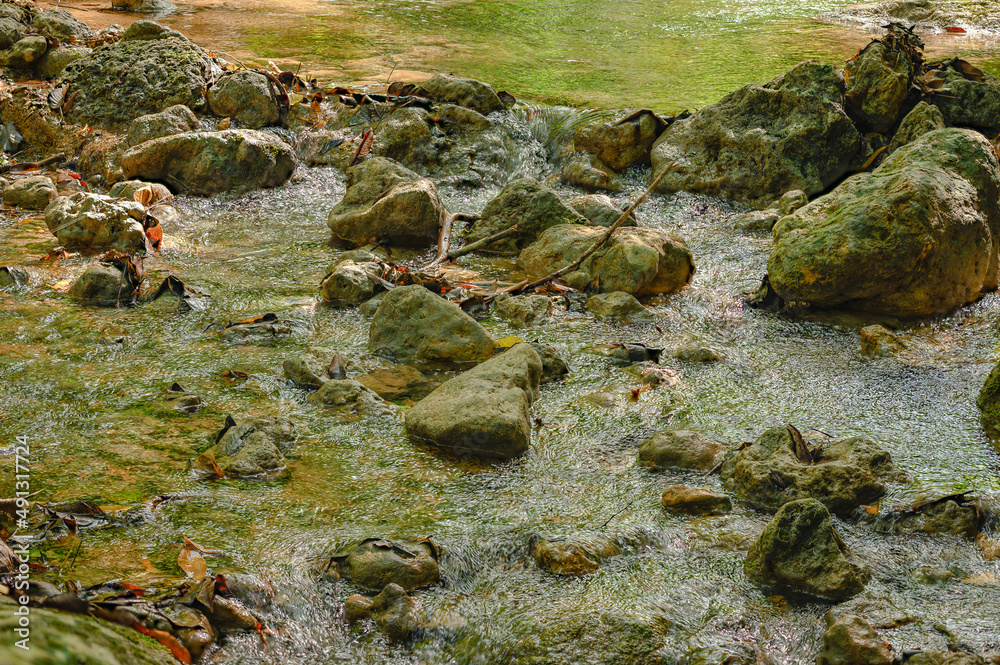 Obraz premium Photography of a small mountain stream, background on the wall. Wide angle.