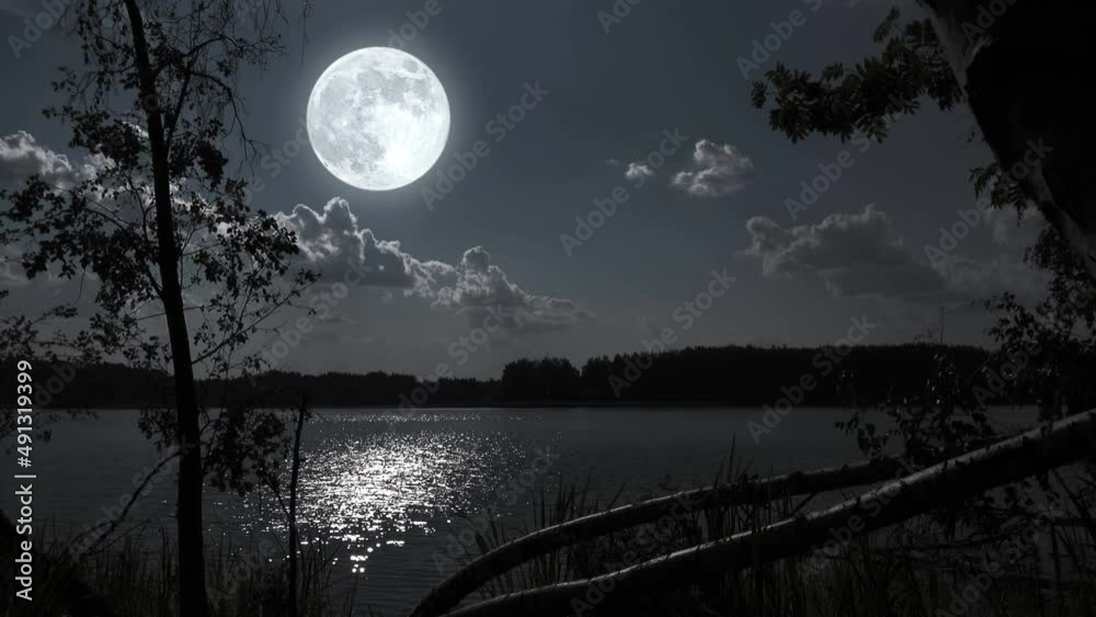 Full moon night nature landscape with forest lake