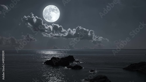 Full moon night sea shore nature landscape