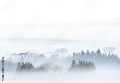 Misty rural Northumberland landscape in winter
