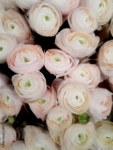 Ranunculus. Bukiet kwiatów ślubnych