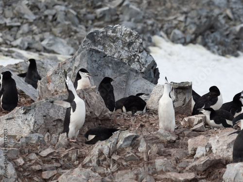 Orne Harbor, Graham Land, Antarctic Peninsula. Antarctica photo