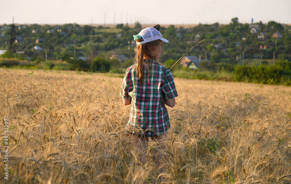 girl in a cap and a country-style shirt in a ripened wheat field at sunset. summer evening walk outdoors