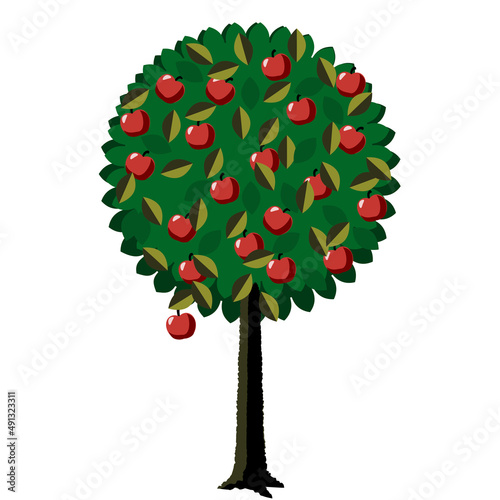 round fruit tree with low hanging fruit