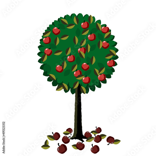 spoiled fruit under round tree