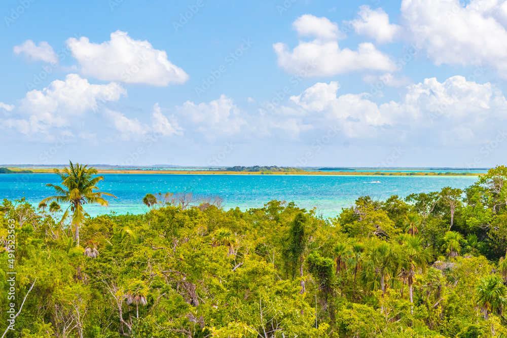 Muyil Lagoon panorama view in tropical jungle of amazing Mexico.