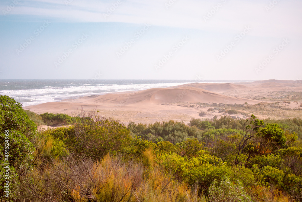view of the dunes
