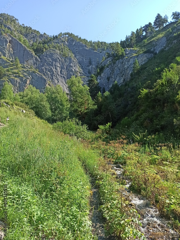 Obraz premium mountain river in the mountains