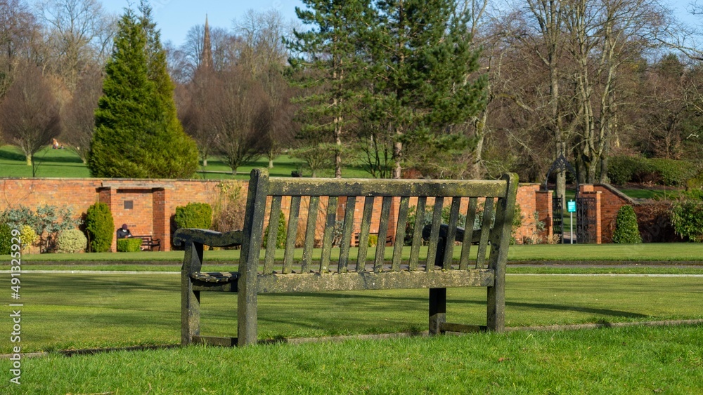 bench in the park bench in the park