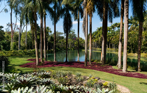 Lindo jardim com lago artificial ao fundo, muitas palmeiras e plantas ornamentais ao redor no museu a céu aberto de Minas Gerais. photo