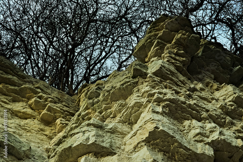 Zbocza wąwozu w skale piaskowej z rosnącymi na szczycie drzewami w zimowej , bezlistnej , " aranżacji " .