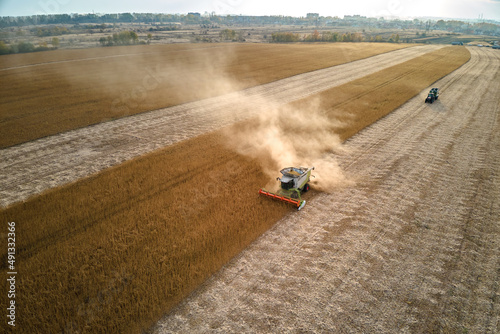 Aerial view of combine harvester working during harvesting season on large ripe wheat field. Agriculture concept