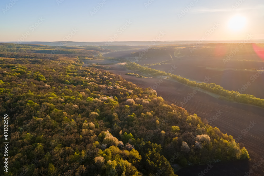 Aerial view of woodland with fresh green trees and agricultural arable fields in early spring at sunset