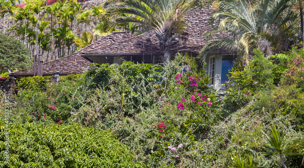 Fototapeta premium old house in the garden