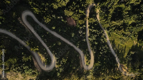 camino en medio de un bosque de pinos visto desde arriba 