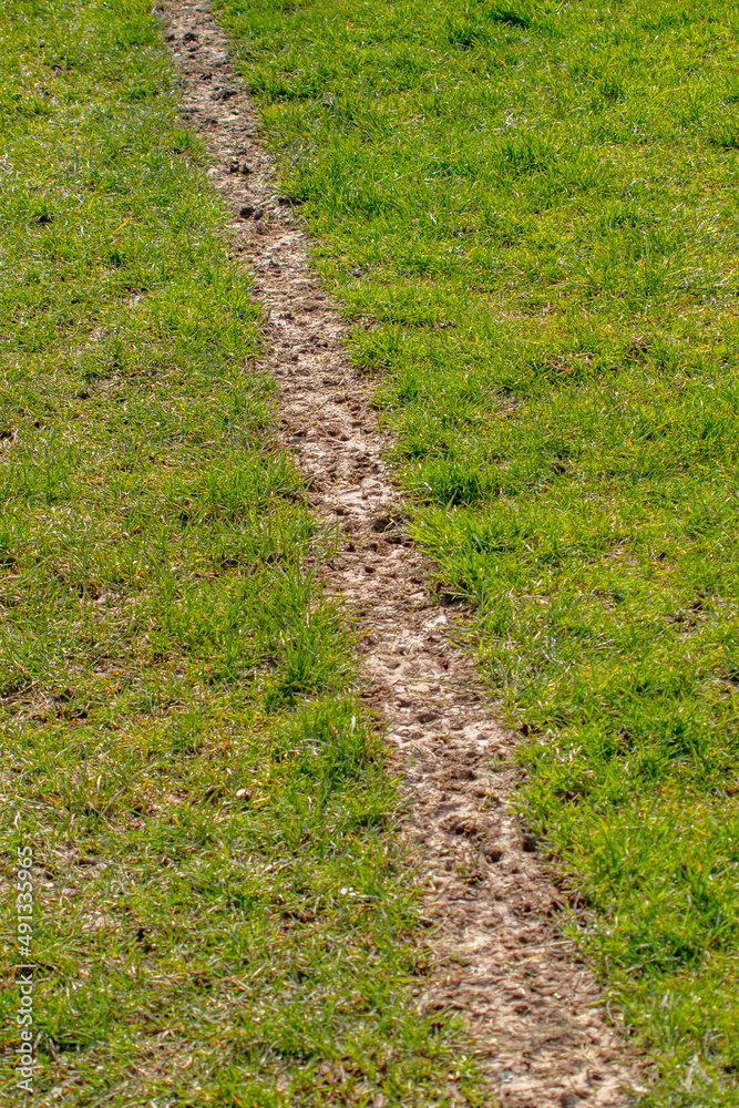 worn touchline close worn touchline close