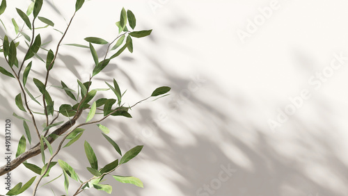 3D render natural background concept. Close up of beautiful tree branches with sunlight foliage leaves shadow on empty white wall for background. Mock up, Mockup, Space, Blank, Summer, Backdrop 