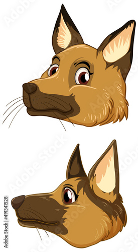 A head of dog on white background