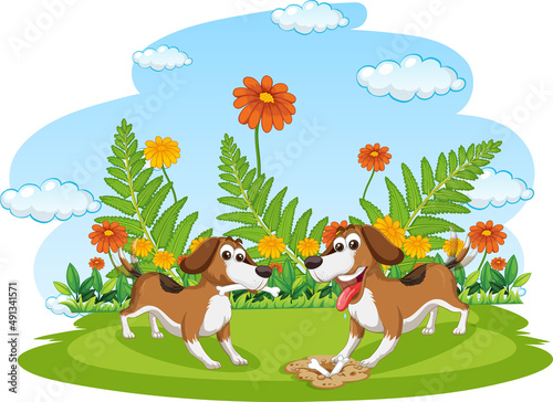 Two dogs running in the garden