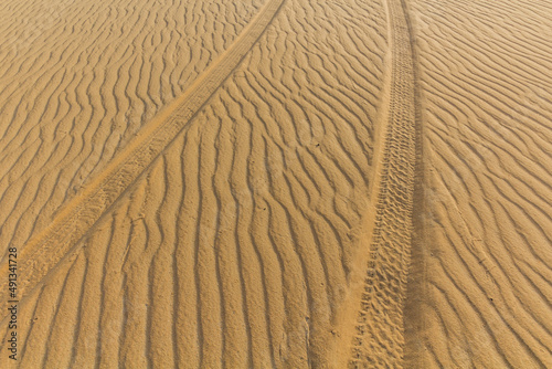 Car tracks in a sand desert