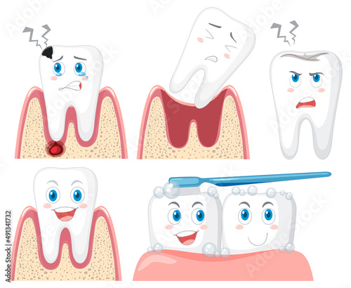 Set of all types of teeth on white background