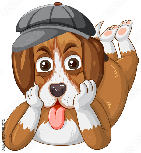 A Happy dog lie down on white background