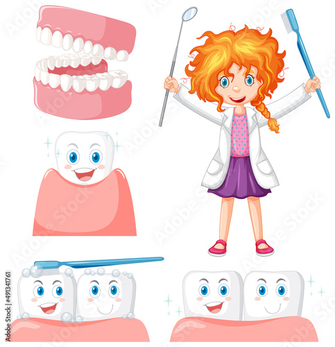 Set of all types of teeth on white background