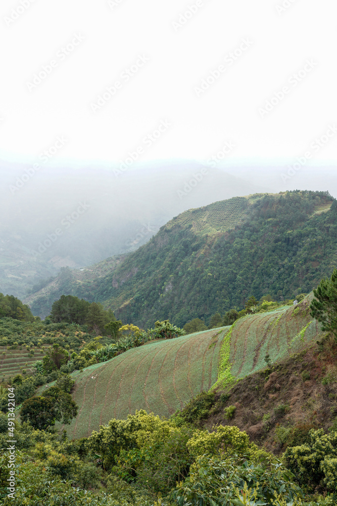 Dramatic image of agricultural fields and farms high in the Caribbean mountains early morning fog of the Dominican Republic.