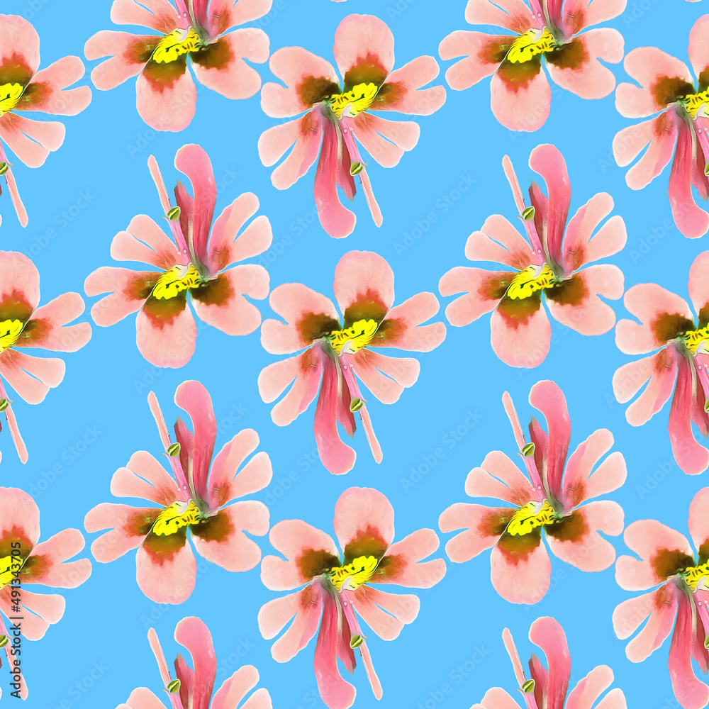 Schizanthus. Illustration, texture of flowers. Seamless pattern for continuous replication. Floral background, photo collage for textile, cotton fabric. For wallpaper, covers, print.