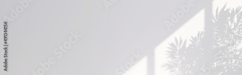 Morning sun light cast tropical tree house plants, leaves and window frame shadow on clean white wall. 3D render product mockup background banner for nature, organic, interior design, shade, garden.