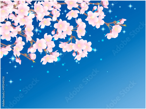 さくらの背景④光_夜桜